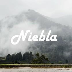Niebla