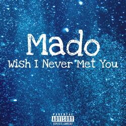 Wish I Never Met You