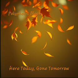 Here Today, Gone Tomorrow