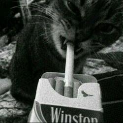 Sebevražedné sklony