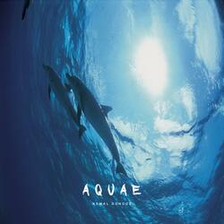 Aquae