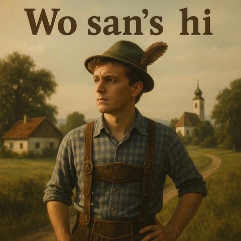 Wo san’s hi