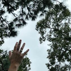 Raise Your Hands (One Time)