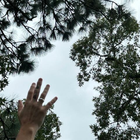 Raise Your Hands (One Time)