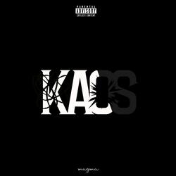 Kaos