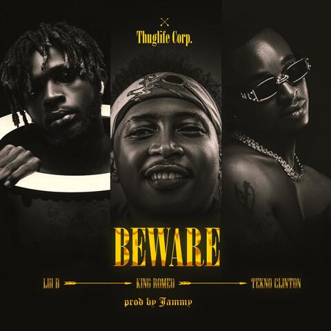Beware (feat. King Romeo & Tekno clinton)