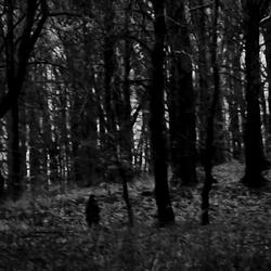 Hole in the Heart (Remastered)