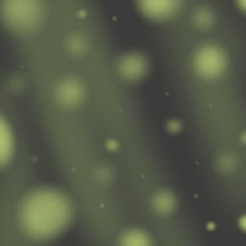 Waltz Of The Fireflies