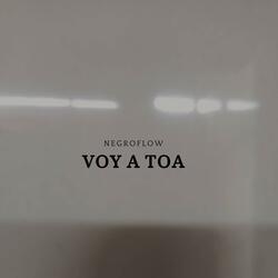 Voy A Toa