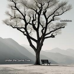 Under the Same Tree