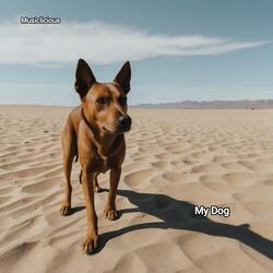 My Dog