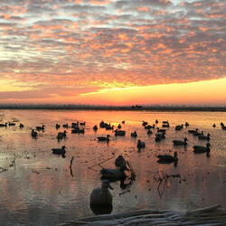 Livin' Like Phil Robertson