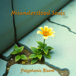 Misunderstood Souls