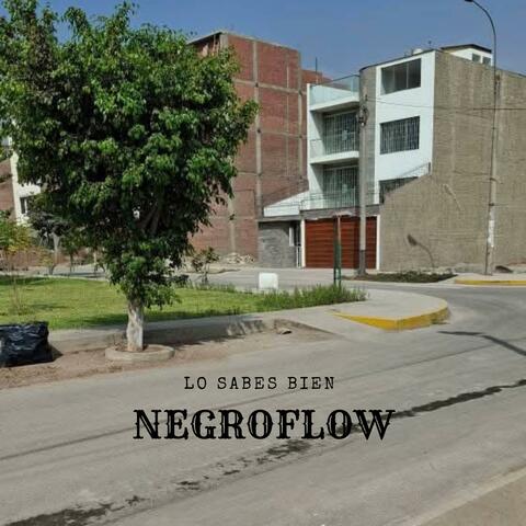 Lo Sabes Bien