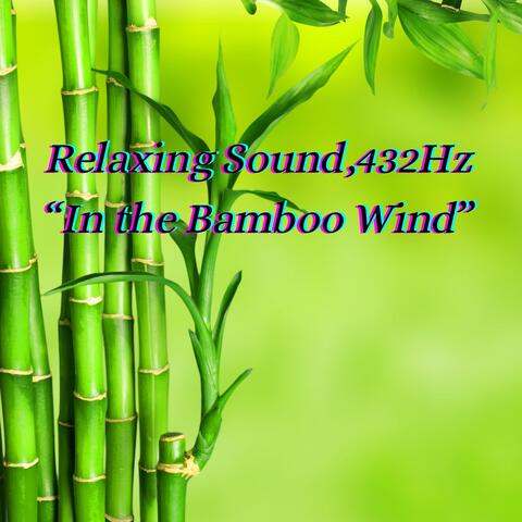 In The Bamboo Wind
