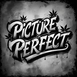 Picture Perfect