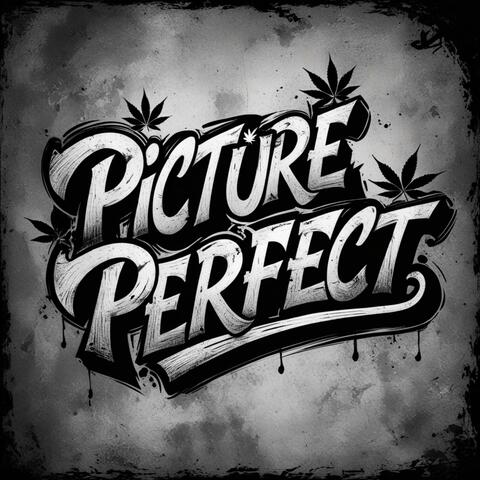 Picture Perfect