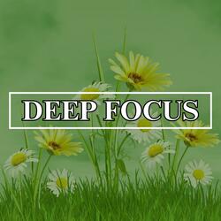 Focus Music for Studying and Work, Background Music for Concentration, Study Music