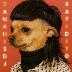 RAPIDITO