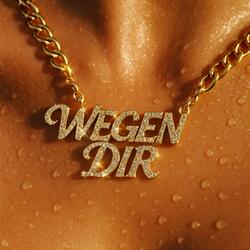 wegen dir <3 (speed up)