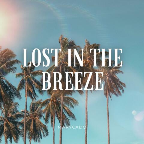Lost in the Breeze