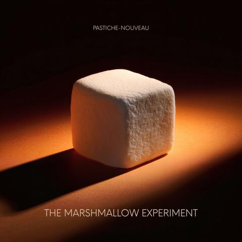 The Marshmallow Experiment