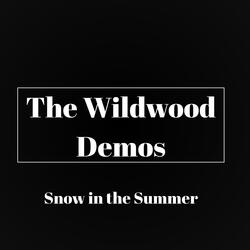 Snow in the Summer (Demo)