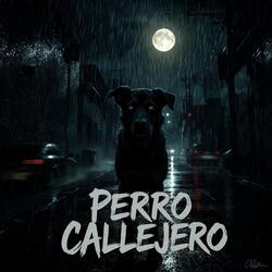 Perro Callejero