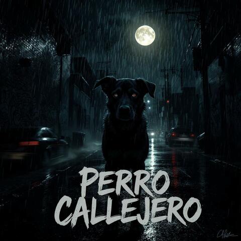 Perro Callejero