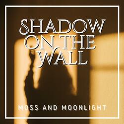 Shadow on the Wall