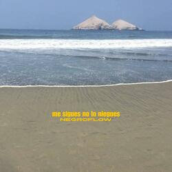 Me Sigues No Lo Niegues