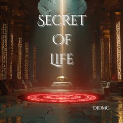 Secret Of Life