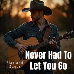Never Had To Let You Go