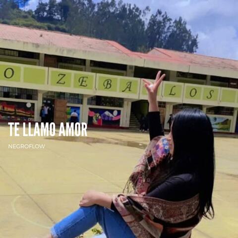 Te Llamo Amor