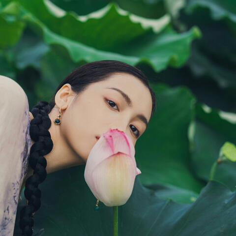 Dưới Ánh Trăng Sen