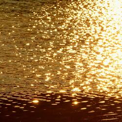 SHINE 2.1. Inner Summer