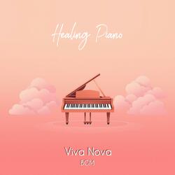 The Light Between Shadows