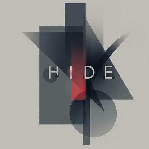Hide