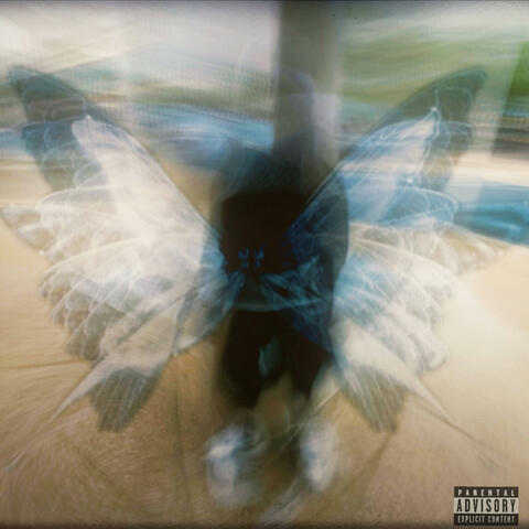 BUTTERFLY FILES