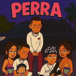 PERRA (feat. Littlegoat youking7)