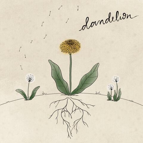 Dandelion