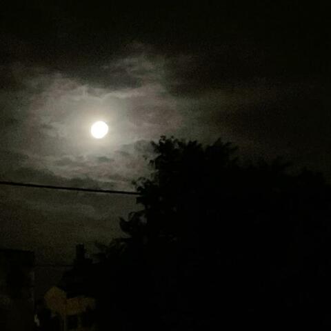 It's About Time You Showed Up