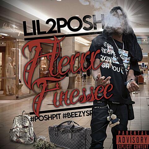 flexx fine$$e ...