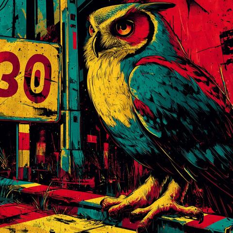 Tempo 30 tötet nicht!