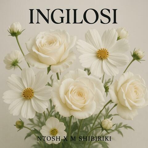 Ingilosi (feat. Ntosh ) [Radio Edit]