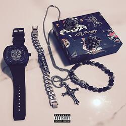 Ed Hardy Freestyle