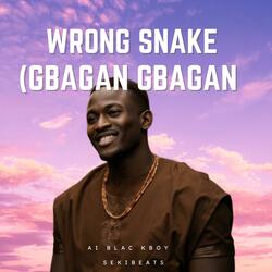 Wrong Snake (Gbagan Gbagan)