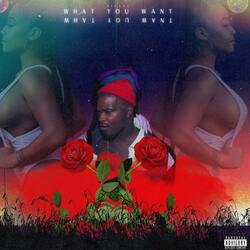 Smn Deisel (What You Want)