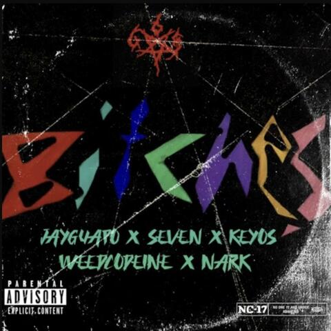 Bitches (feat. Weedco23 & Los Geezys)