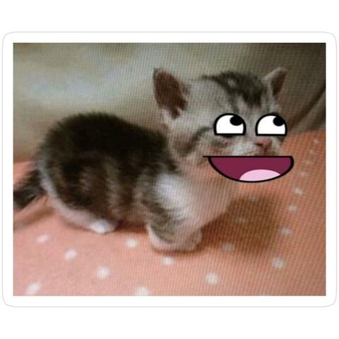 my isp is throttling me, also i factory reset my pc so i lost all of my mixes